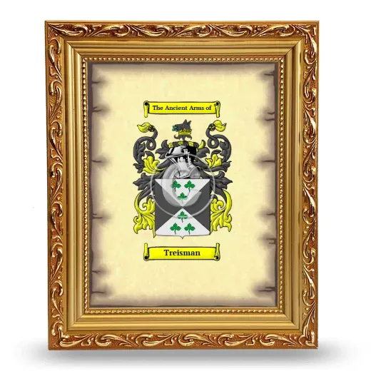 Treisman Coat of Arms Framed - Gold