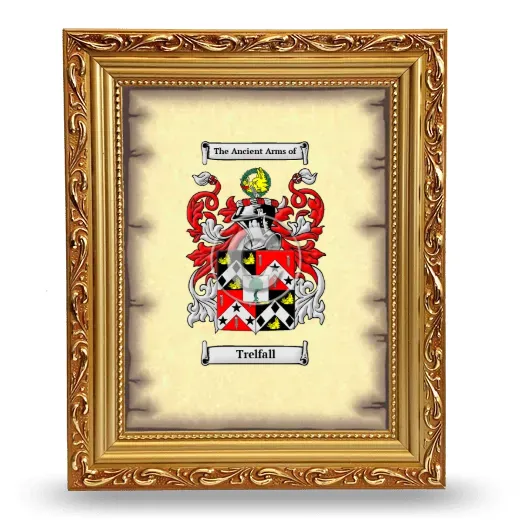 Trelfall Coat of Arms Framed - Gold