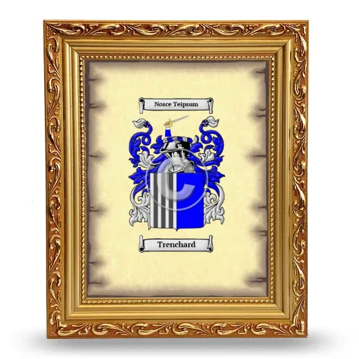 Trenchard Coat of Arms Framed - Gold
