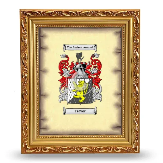 Trevor Coat of Arms Framed - Gold