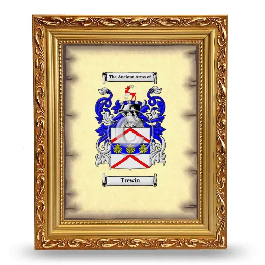 Trewin Coat of Arms Framed - Gold