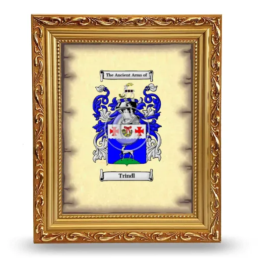 Trindl Coat of Arms Framed - Gold