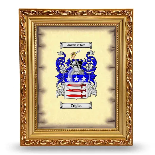 Triplet Coat of Arms Framed - Gold