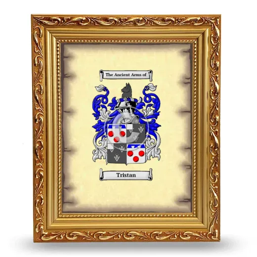 Tristan Coat of Arms Framed - Gold