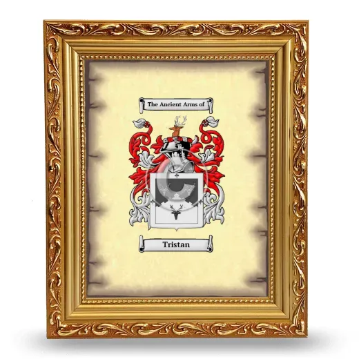 Tristan Coat of Arms Framed - Gold