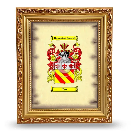 Tro Coat of Arms Framed - Gold