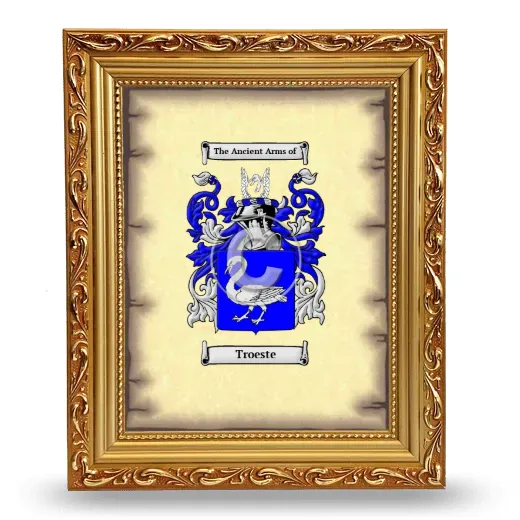 Troeste Coat of Arms Framed - Gold