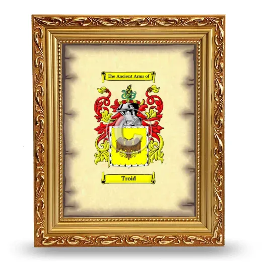Troid Coat of Arms Framed - Gold