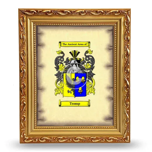 Tromp Coat of Arms Framed - Gold