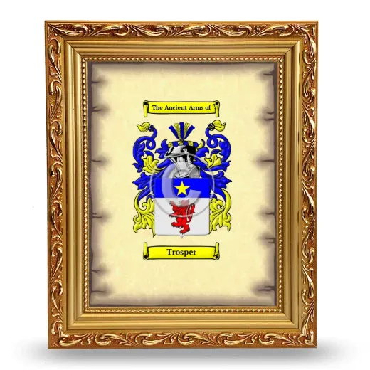 Trosper Coat of Arms Framed - Gold