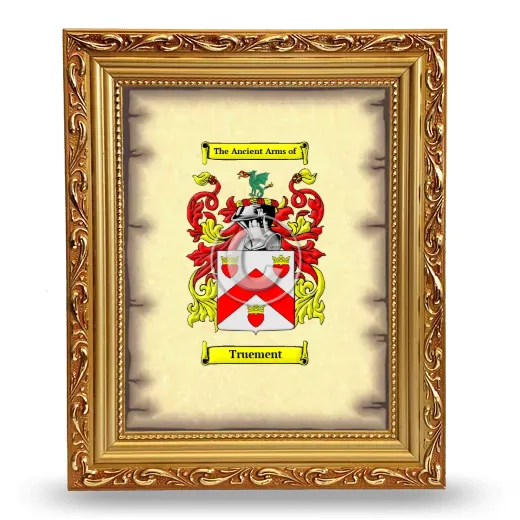Truement Coat of Arms Framed - Gold