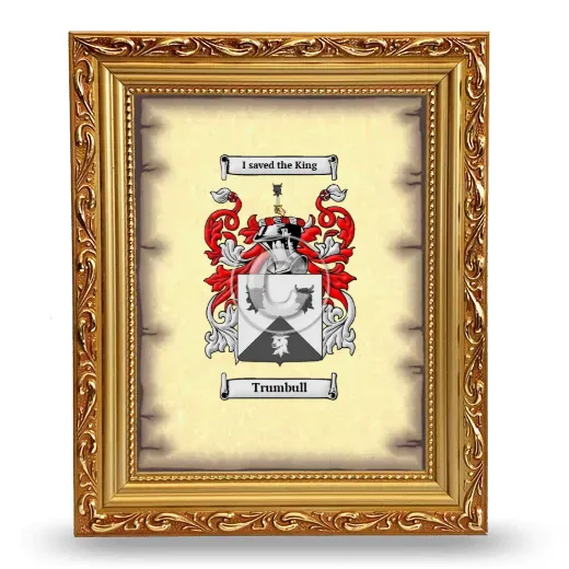 Trumbull Coat of Arms Framed - Gold
