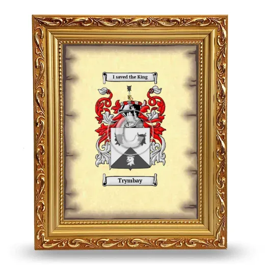 Trymbay Coat of Arms Framed - Gold