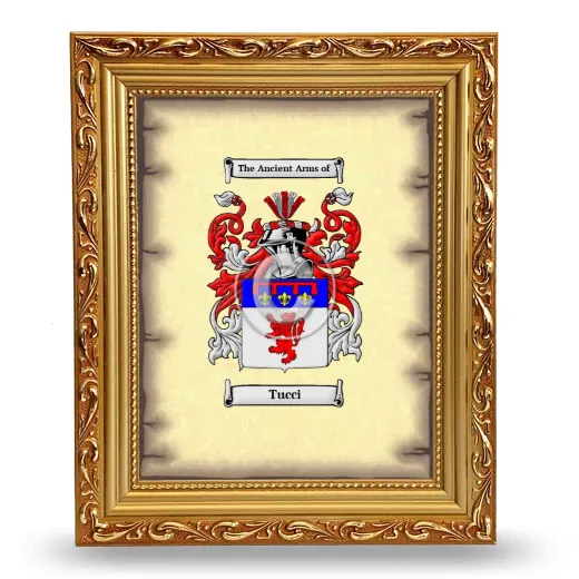 Tucci Coat of Arms Framed - Gold