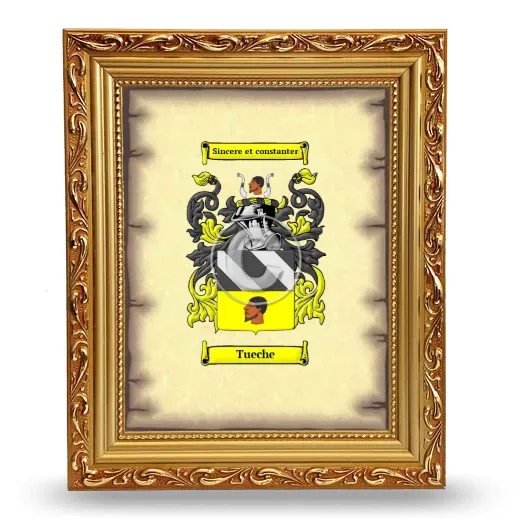 Tueche Coat of Arms Framed - Gold