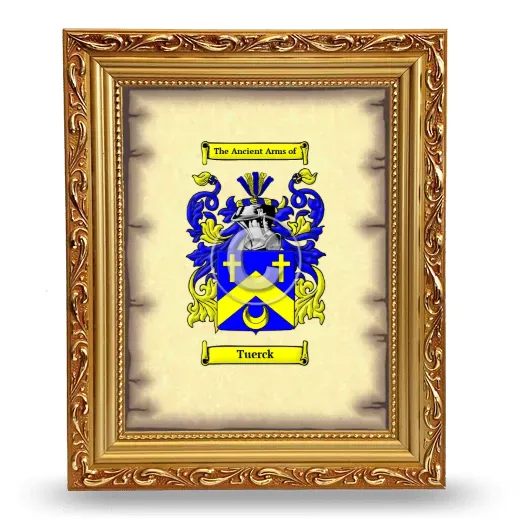 Tuerck Coat of Arms Framed - Gold