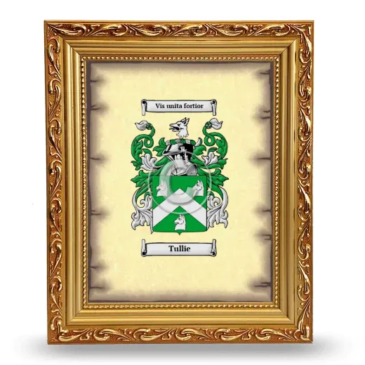 Tullie Coat of Arms Framed - Gold