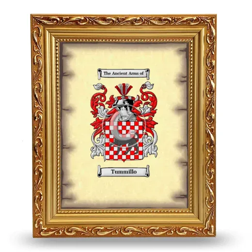 Tummillo Coat of Arms Framed - Gold