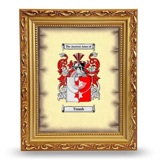 Tunoh Coat of Arms Framed - Gold