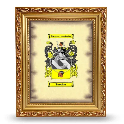 Tuocher Coat of Arms Framed - Gold
