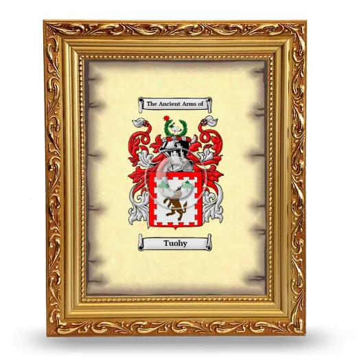 Tuohy Coat of Arms Framed - Gold