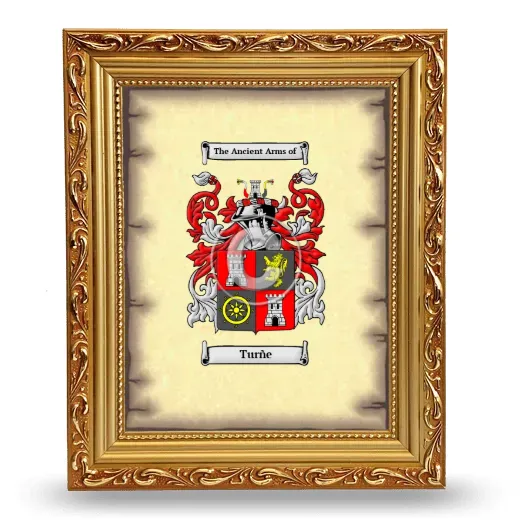 Turñe Coat of Arms Framed - Gold