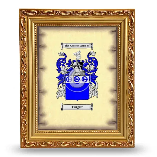 Turgut Coat of Arms Framed - Gold