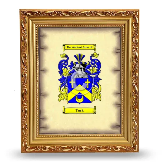 Turk Coat of Arms Framed - Gold