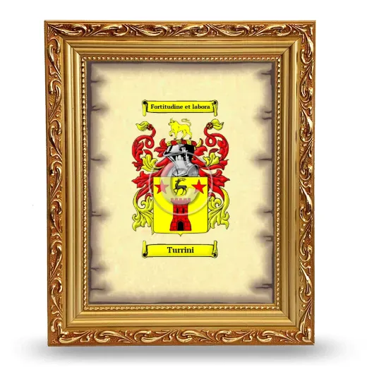 Turrini Coat of Arms Framed - Gold