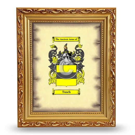 Tusch Coat of Arms Framed - Gold