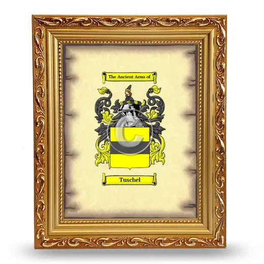 Tuschel Coat of Arms Framed - Gold