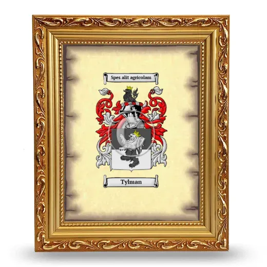Tylman Coat of Arms Framed - Gold