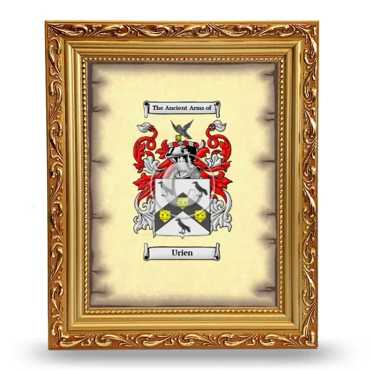 Urien Coat of Arms Framed - Gold