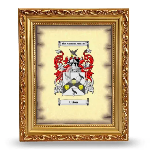Urion Coat of Arms Framed - Gold
