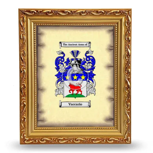 Vaccario Coat of Arms Framed - Gold