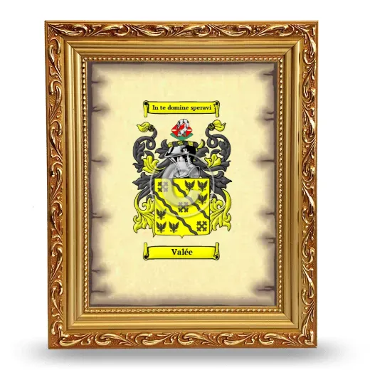 Valée Coat of Arms Framed - Gold