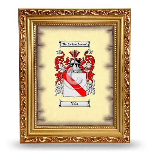 Vala Coat of Arms Framed - Gold