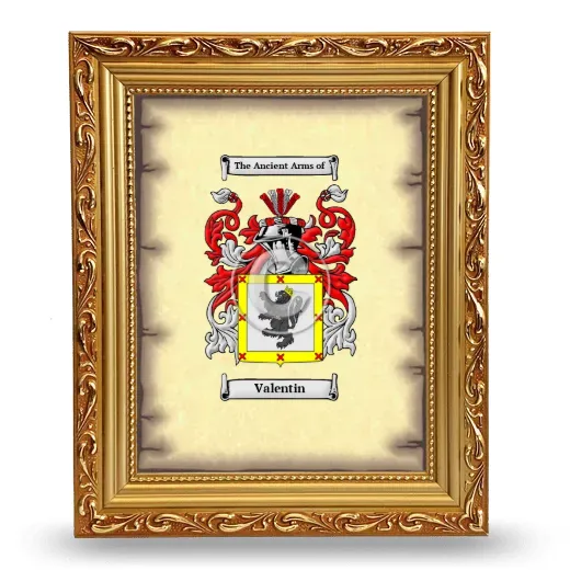 Valentin Coat of Arms Framed - Gold