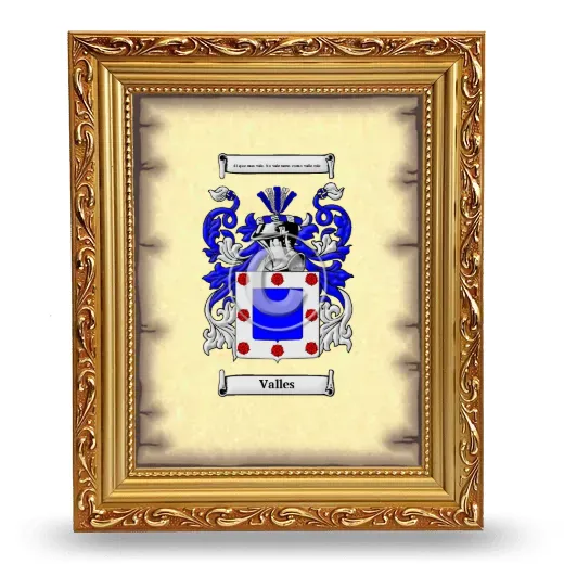 Valles Coat of Arms Framed - Gold