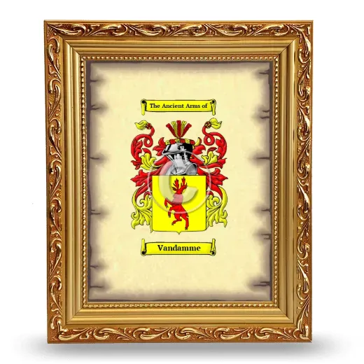 Vandamme Coat of Arms Framed - Gold