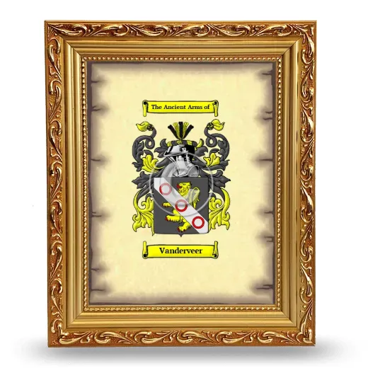 Vanderveer Coat of Arms Framed - Gold