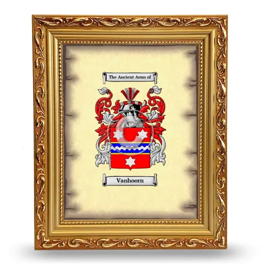 Vanhoorn Coat of Arms Framed - Gold