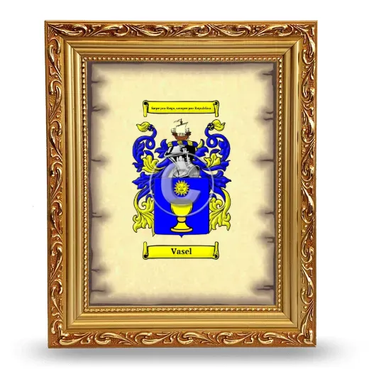 Vasel Coat of Arms Framed - Gold