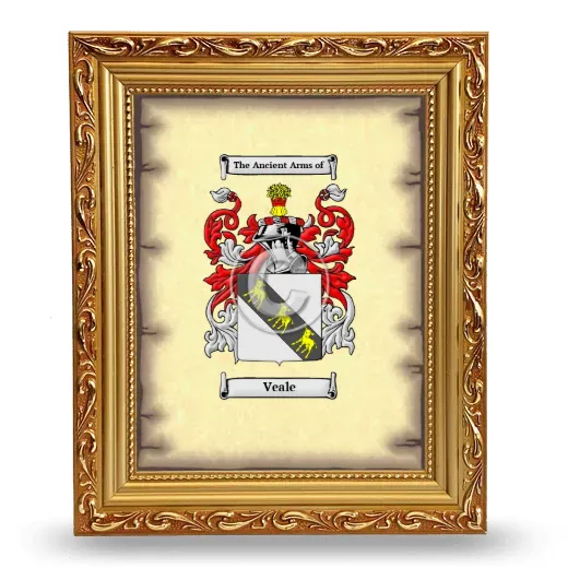 Veale Coat of Arms Framed - Gold