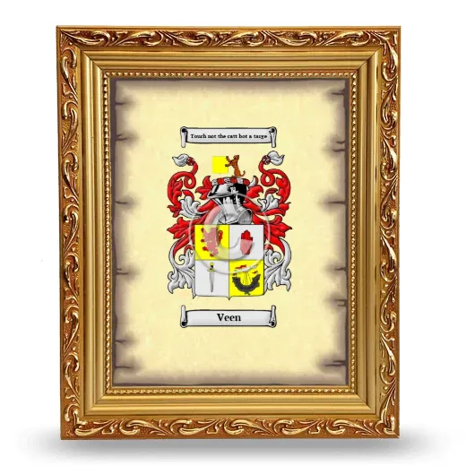 Veen Coat of Arms Framed - Gold