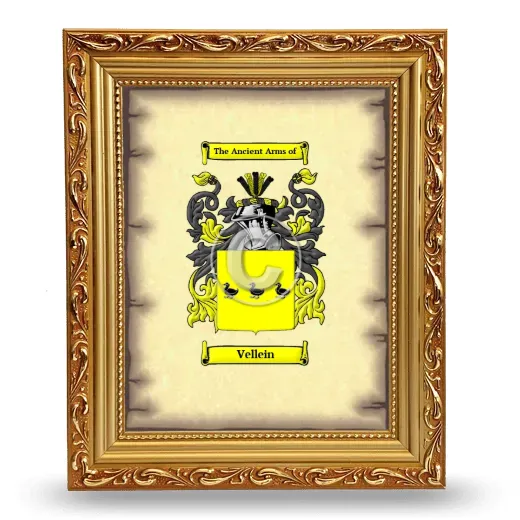 Vellein Coat of Arms Framed - Gold