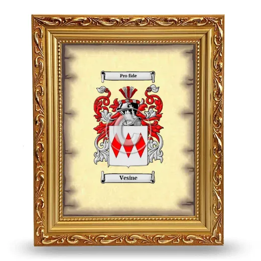 Vesine Coat of Arms Framed - Gold