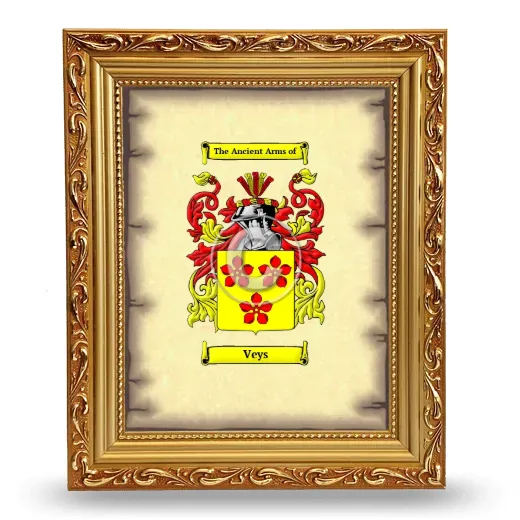 Veys Coat of Arms Framed - Gold