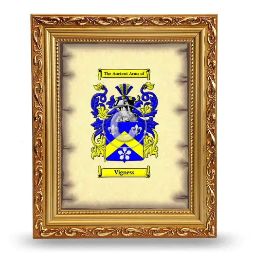 Vigness Coat of Arms Framed - Gold
