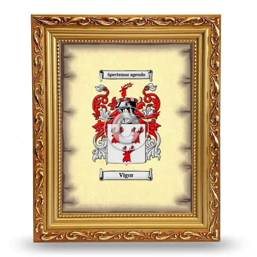 Vigor Coat of Arms Framed - Gold